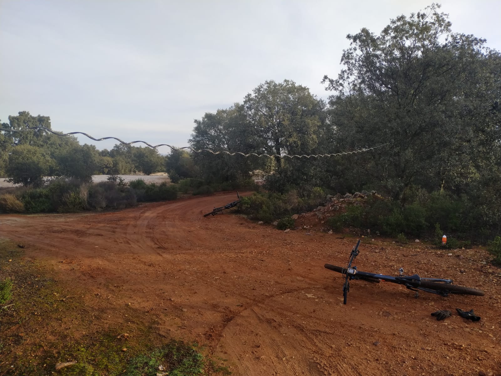 Se han encontrado trampas para ciclistas en el Parque Forestal de la Atalaya Se han encontrado trampas para ciclistas en el Parque Forestal de la Atalaya