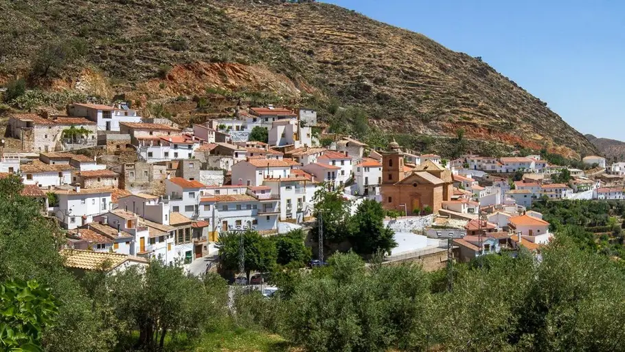 Laroya Laroya