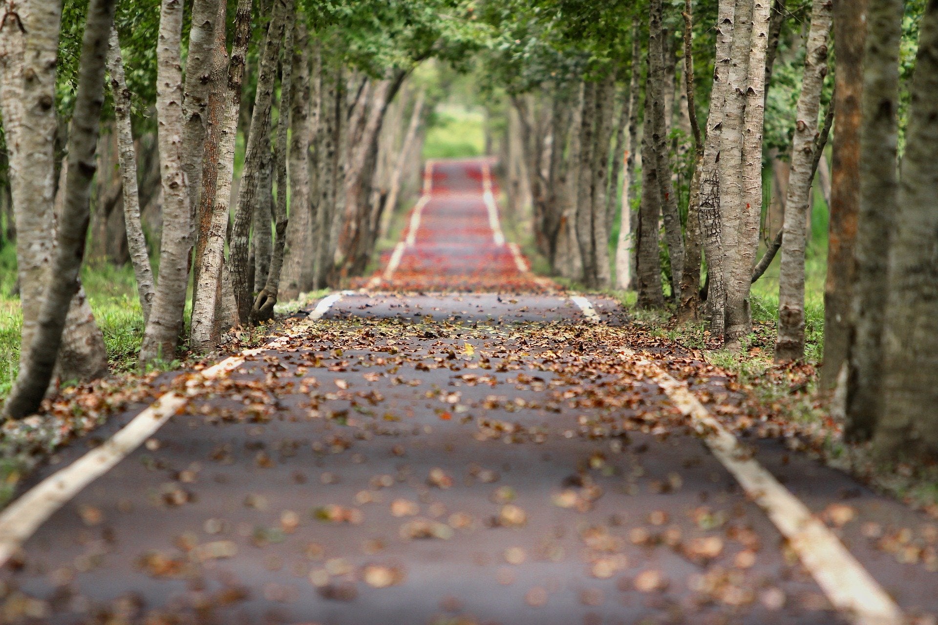 Dinamarca, Italia, Hungría, Eslovaquia y Países Bajos replican el proyecto Rutas Azules de la Diputación Dinamarca, Italia, Hungría, Eslovaquia y Países Bajos replican el proyecto Rutas Azules de la Diputación