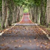 Dinamarca, Italia, Hungría, Eslovaquia y Países Bajos replican el proyecto Rutas Azules de la Diputación 