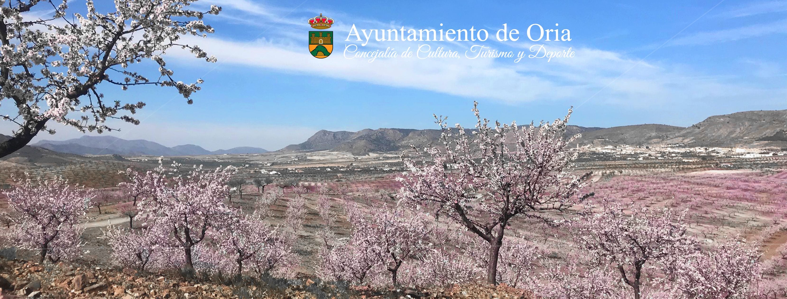 Rutas turísticas para contemplar la floración de los almendros en la comarca del Almanzora Rutas turísticas para contemplar la floración de los almendros en la comarca del Almanzora