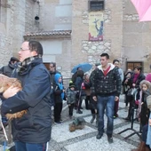 Ciudad Real no celebrará la bendición de animales con motivo de San Antón Ciudad Real no celebrará la bendición de animales con motivo de San Antón