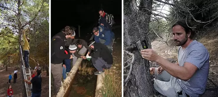 'El renacer del bosque-frontera', un proyecto de reforestación para la Sierra de los Filabres 'El renacer del bosque-frontera', un proyecto de reforestación para la Sierra de los Filabres