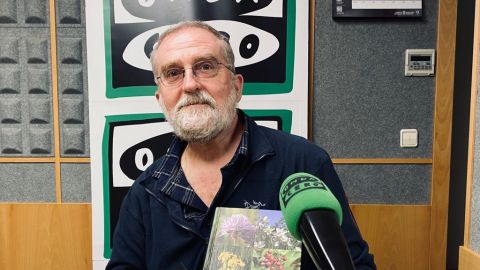 Bot&aacute;nico pamplon&eacute;s