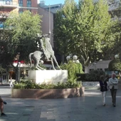 Los hechos ocurrieron en la Plaza del Pilar Los hechos ocurrieron en la Plaza del Pilar
