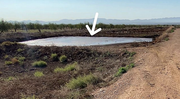 Podemos solicita información al Gobierno Regional sobre las macrogranjas y sus efectos en el territorio y el Mar Menor Podemos solicita información al Gobierno Regional sobre las macrogranjas y sus efectos en el territorio y el Mar Menor