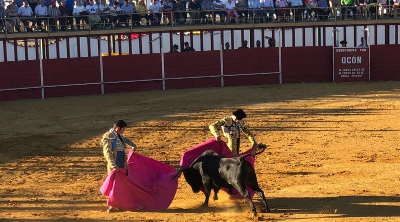 La Generalitat Valenciana apoya el Premio Nacional de Tauromaquia 'a la autonómica' La Generalitat Valenciana apoya el Premio Nacional de Tauromaquia 'a la autonómica'