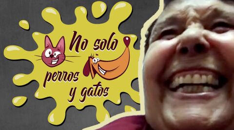 No Solo Perros y Gatos T03xE07: &iexcl;Viva la Pepa!