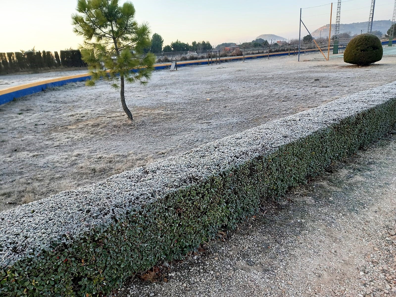 El invierno aprieta en las comarcas del Vinalopó con madrugadas de hasta 12 grados bajo cero en zonas del interior El invierno aprieta en las comarcas del Vinalopó con madrugadas de hasta 12 grados bajo cero en zonas del interior
