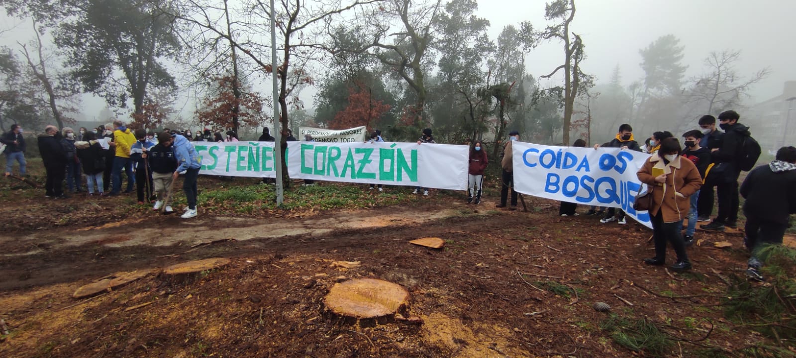 A Concellería de medioambiente paraliza a tala indiscriminada na Universidade Laboral A Concellería de medioambiente paraliza a tala indiscriminada na Universidade Laboral