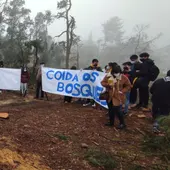 A Concellería de medioambiente paraliza a tala indiscriminada na Universidade Laboral A Concellería de medioambiente paraliza a tala indiscriminada na Universidade Laboral