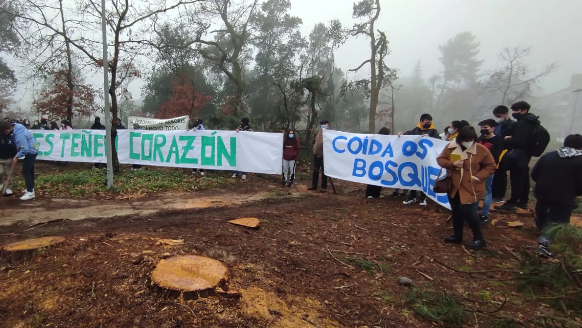 A Concellería de medioambiente paraliza a tala indiscriminada na Universidade Laboral
