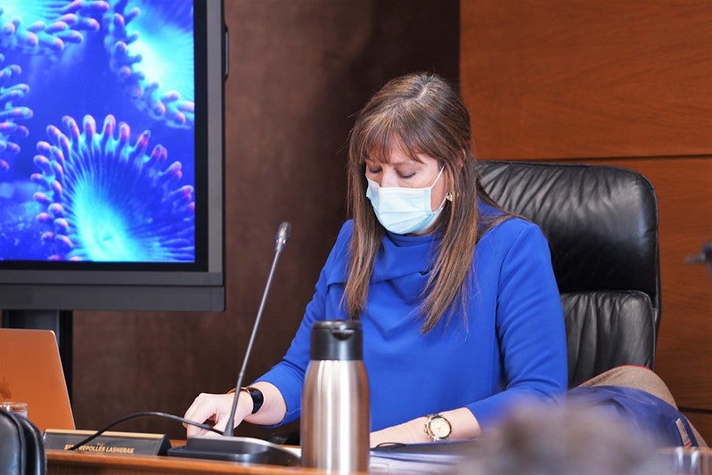 Repollés cree que las hospitalizaciones descenderán la próxima semana Repollés cree que las hospitalizaciones descenderán la próxima semana