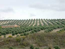 El agro y la reforma laboral El agro y la reforma laboral