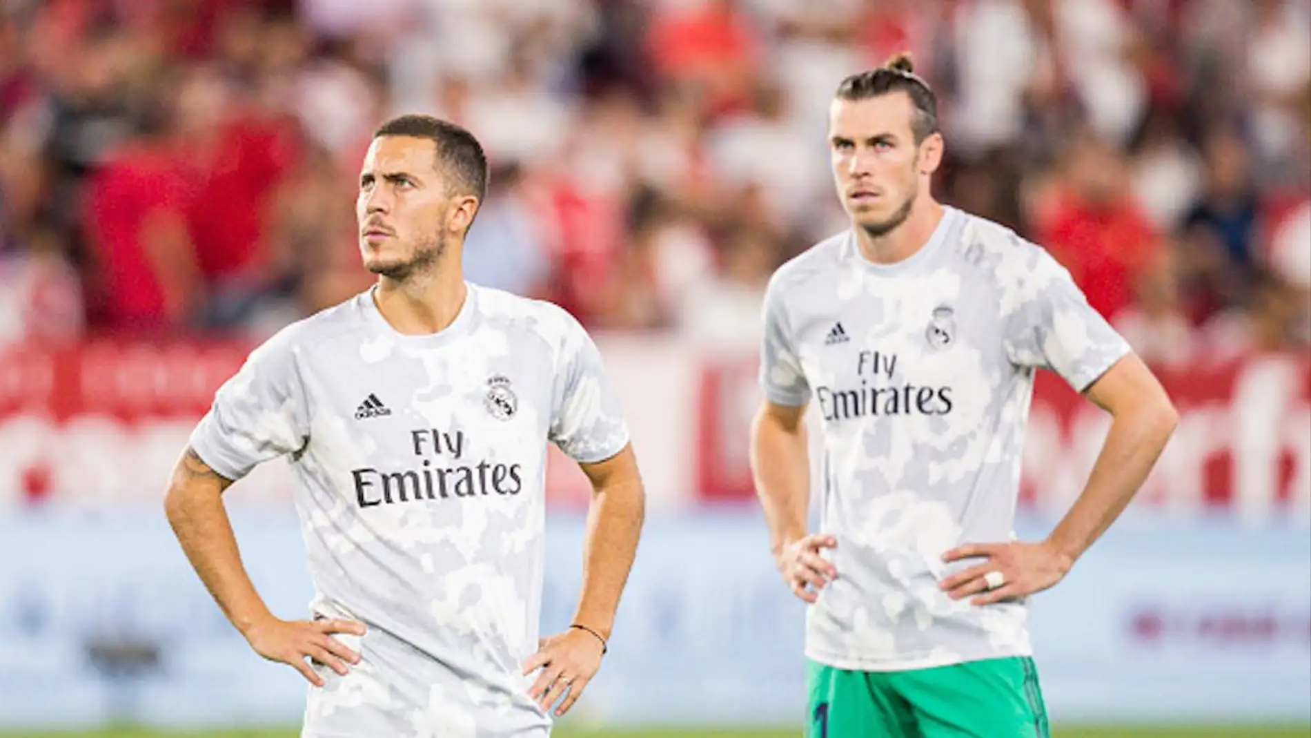 Hazard y Bale