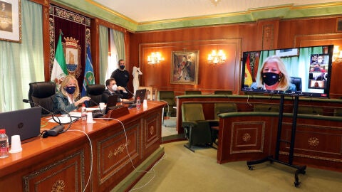 Pleno telem&aacute;tico Marbella