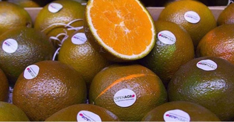 La naranja que no es de color naranja La naranja que no es de color naranja