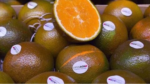 Openagro Fruits