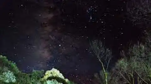 Cielo starlight Cielo starlight