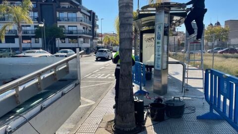 Reordenaci&oacute;n de las paradas en la Rambla de la Libertad