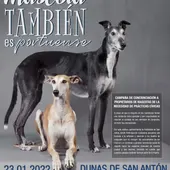 Campaña impulsada por el Ayuntamiento de El Puerto Campaña impulsada por el Ayuntamiento de El Puerto
