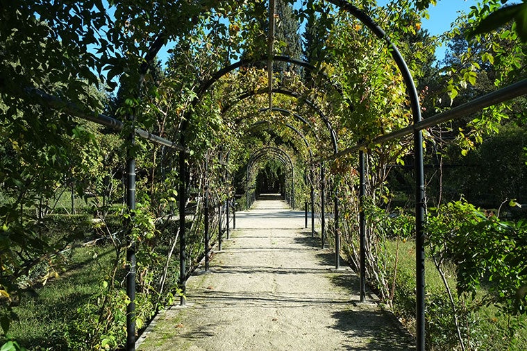 La Rosaleda del Parque Grande estrenará 'look' en mayo La Rosaleda del Parque Grande estrenará 'look' en mayo