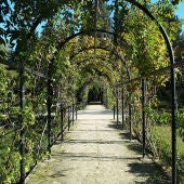 La Rosaleda del Parque Grande recoge el estilo de los jardines de rosas europeos