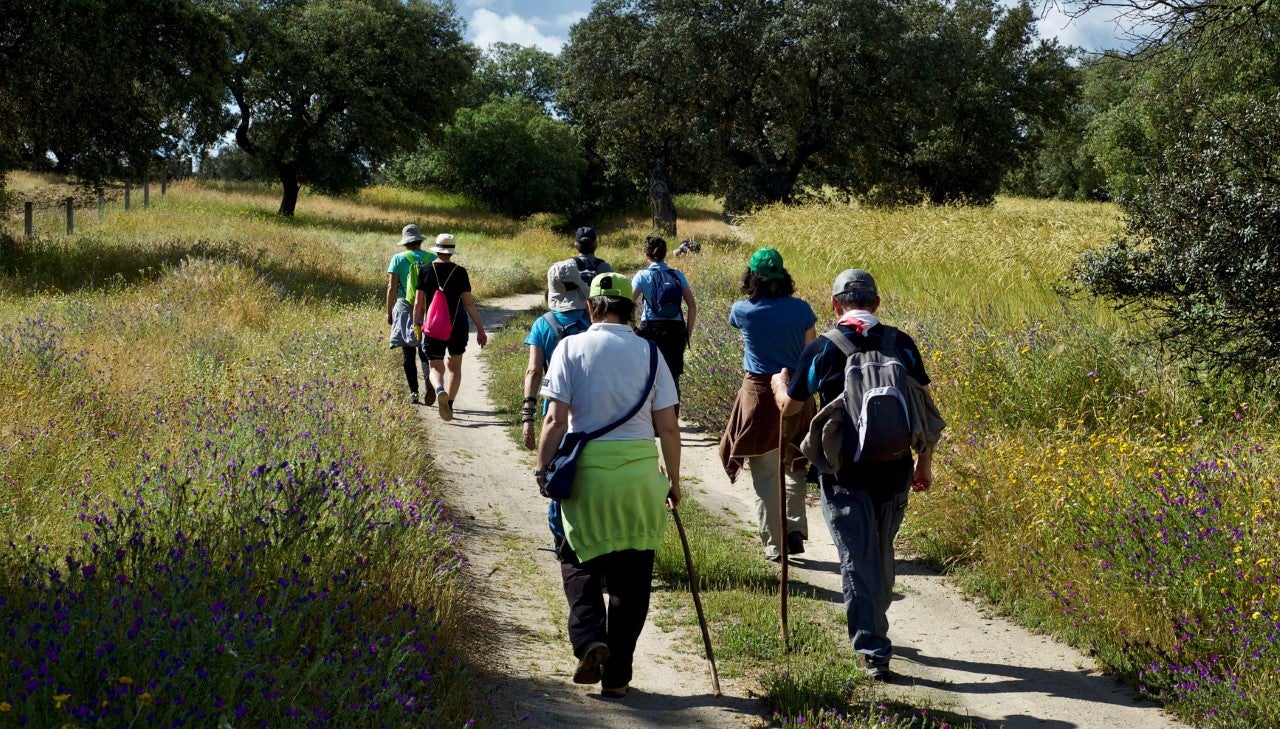 Se incorporan seis nuevos recorridos a la Red de Senderos de Toledo Se incorporan seis nuevos recorridos a la Red de Senderos de Toledo