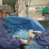 El primer trasplante hepático en asistolia ha sido realizado por especialistas del Miguel Servet y el Clínico