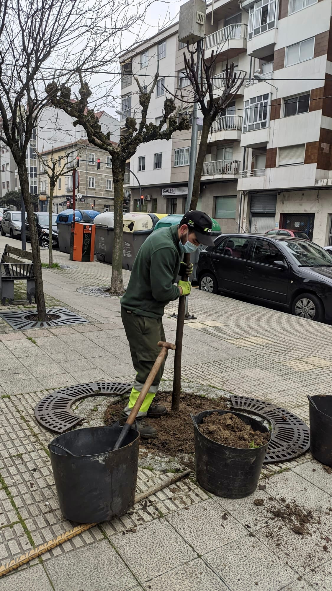O Concello de Ourense inicia os traballos de plantación de árbores en alcorques da cidade O Concello de Ourense inicia os traballos de plantación de árbores en alcorques da cidade