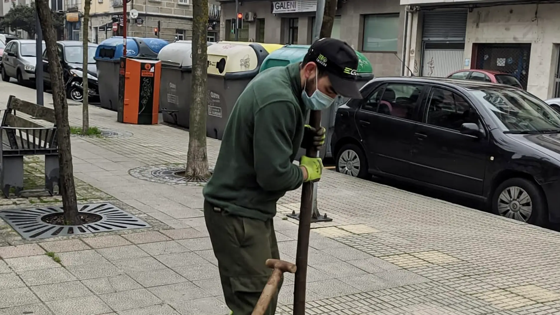 O Concello de Ourense inicia os traballos de plantación de árbores en alcorques da cidade