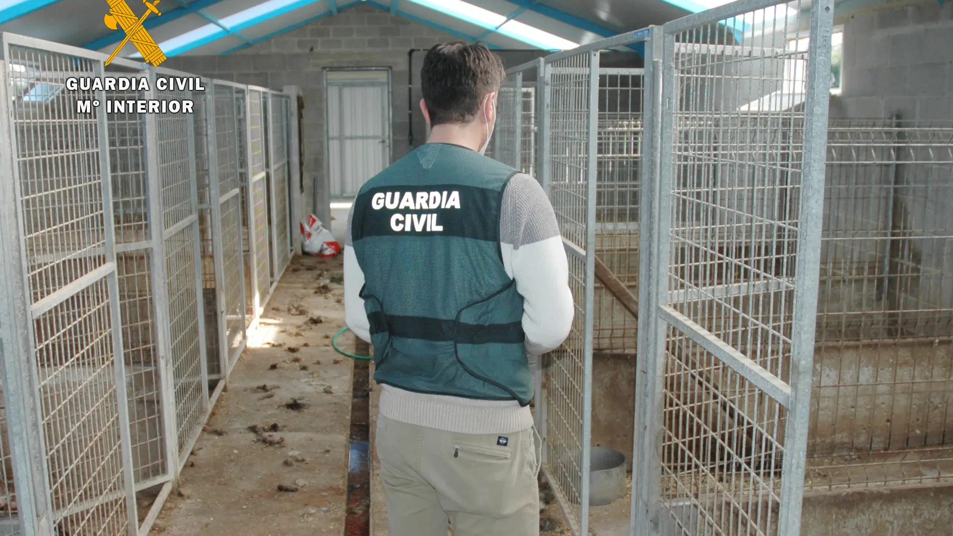 Detenidos los presuntos responsables de la muerte por abandono de 18 perros en Tagle-Suances