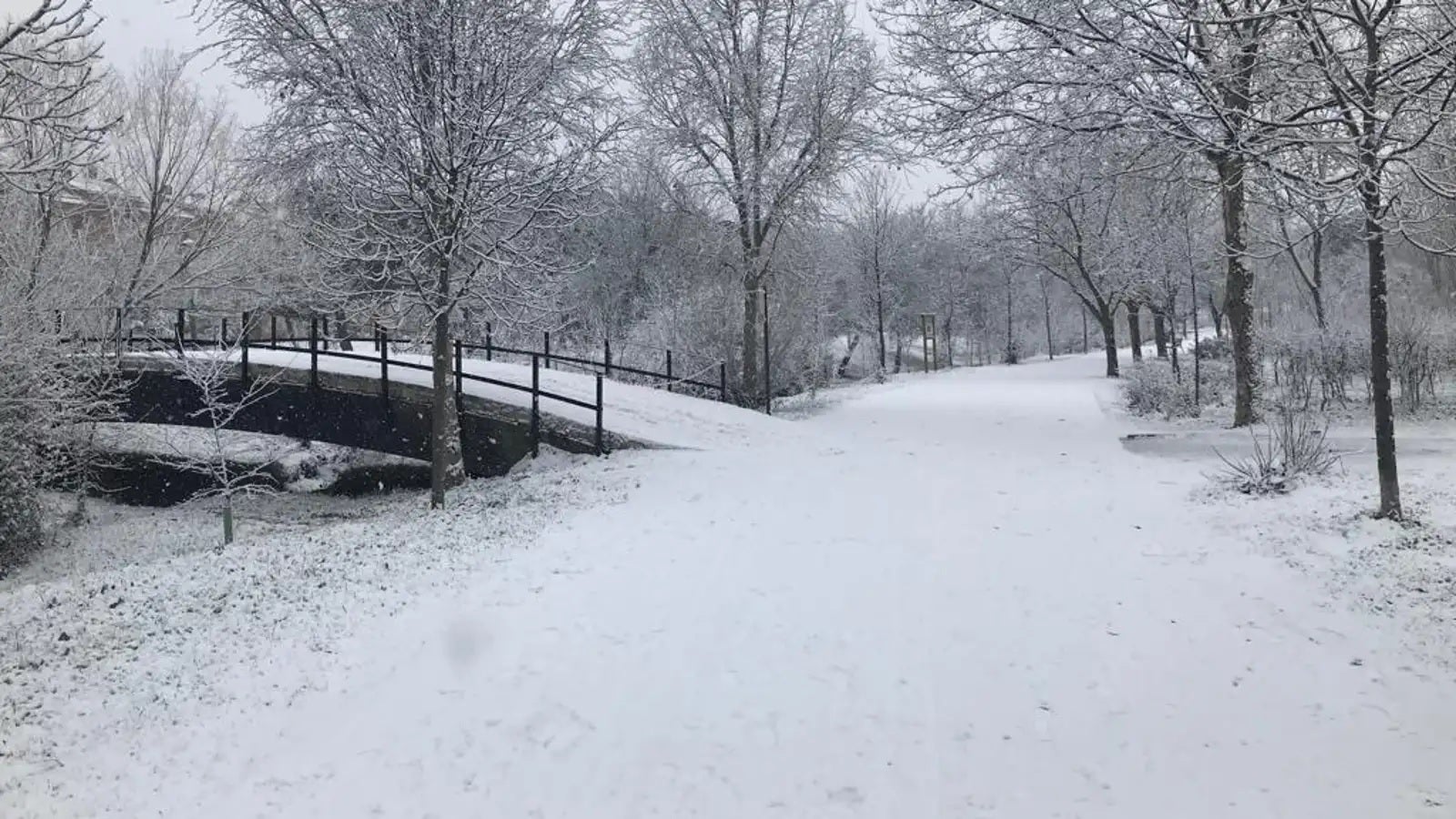 Jorge Rey, el niño meteorólogo que predijo Filomena, reivindica su método de 'Las cabañuelas' ante las críticas Jorge Rey, el niño meteorólogo que predijo Filomena, reivindica su método de 'Las cabañuelas' ante las críticas