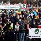 La Asociación para el Desarrollo y Defensa del Mundo Rural, Alma Rural, se manifiesta en Madrid