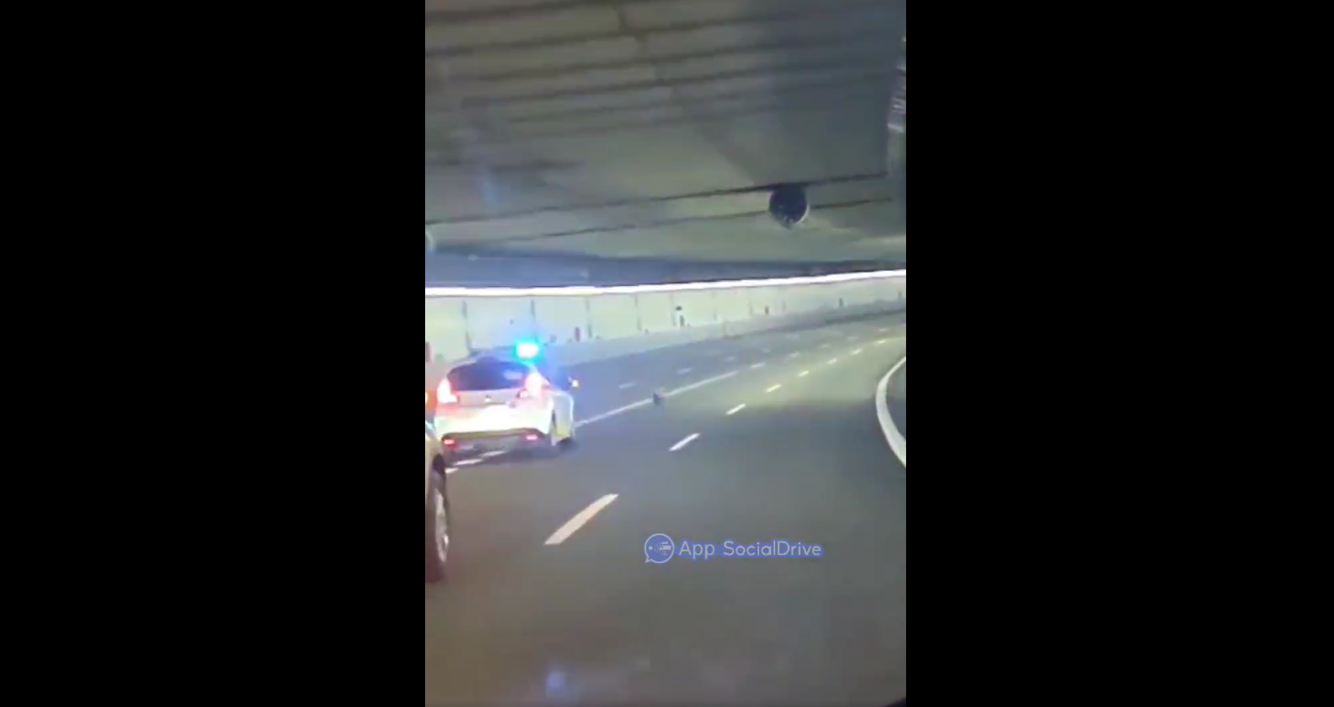 La Policía escolta a un perro por un túnel de la M-30 para evitar que sea atropellado La Policía escolta a un perro por un túnel de la M-30 para evitar que sea atropellado