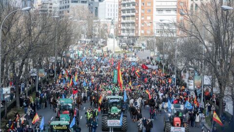 Extremadura reivindicaba ayer por las calles de Madrid la agricultura y ganadería familiar 