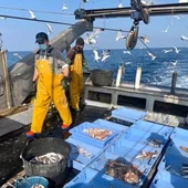 Día Mundial del Pescador Almería Día Mundial del Pescador Almería