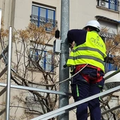 Los sensores han comenzado a instalarse en la zona del Torreón Los sensores han comenzado a instalarse en la zona del Torreón