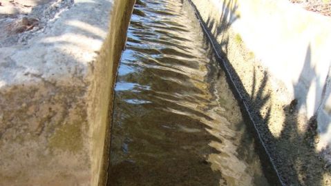 Acequia