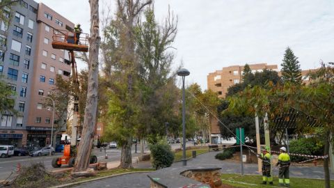 Parques y Jardines Cartagena Parques y Jardines Cartagena