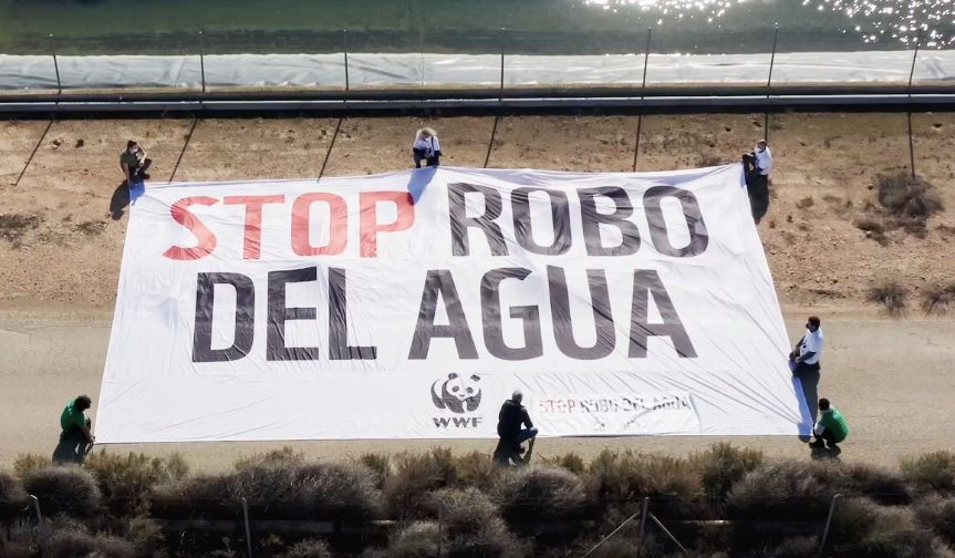 WWF despliega una pancarta gigante en Mar Menor para exigir el fin de la impunidad en el robo del agua WWF despliega una pancarta gigante en Mar Menor para exigir el fin de la impunidad en el robo del agua