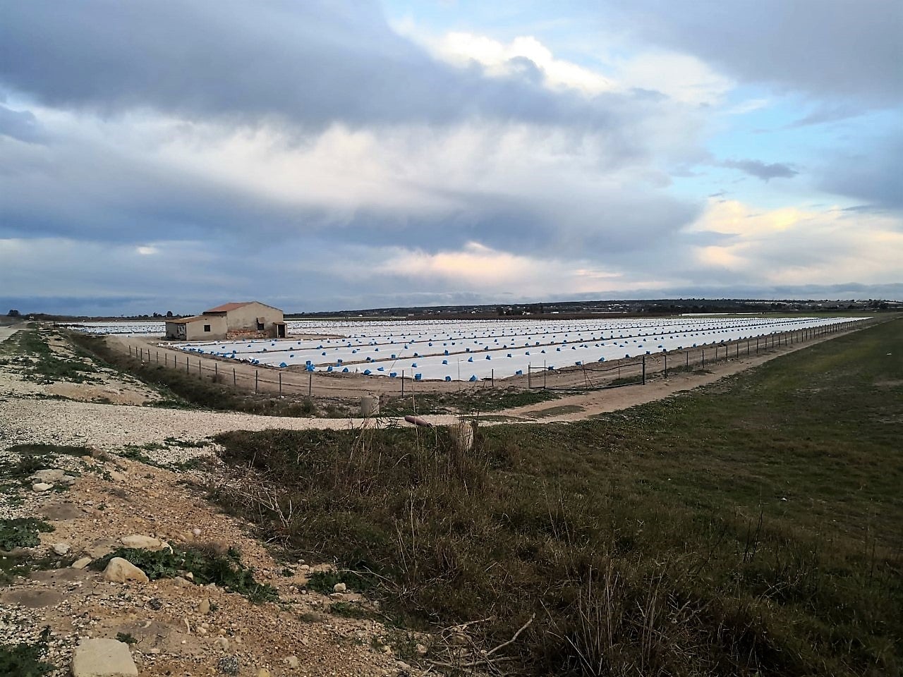 La Generalitat obliga a restituir a su estado natural varias fincas del entorno de Carrizales en las que una empresa ha destruido su sistema tradicional de riego La Generalitat obliga a restituir a su estado natural varias fincas del entorno de Carrizales en las que una empresa ha destruido su sistema tradicional de riego