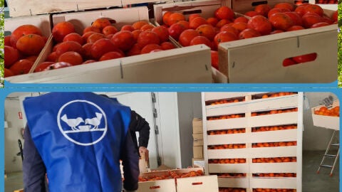 Voluntarios del Banco de Alimentos de C&aacute;diz