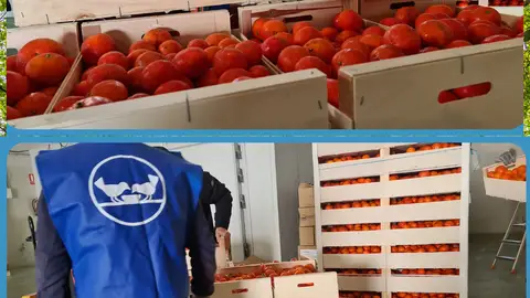 Voluntarios del Banco de Alimentos de Cádiz Voluntarios del Banco de Alimentos de Cádiz