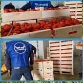Voluntarios del Banco de Alimentos de Cádiz Voluntarios del Banco de Alimentos de Cádiz