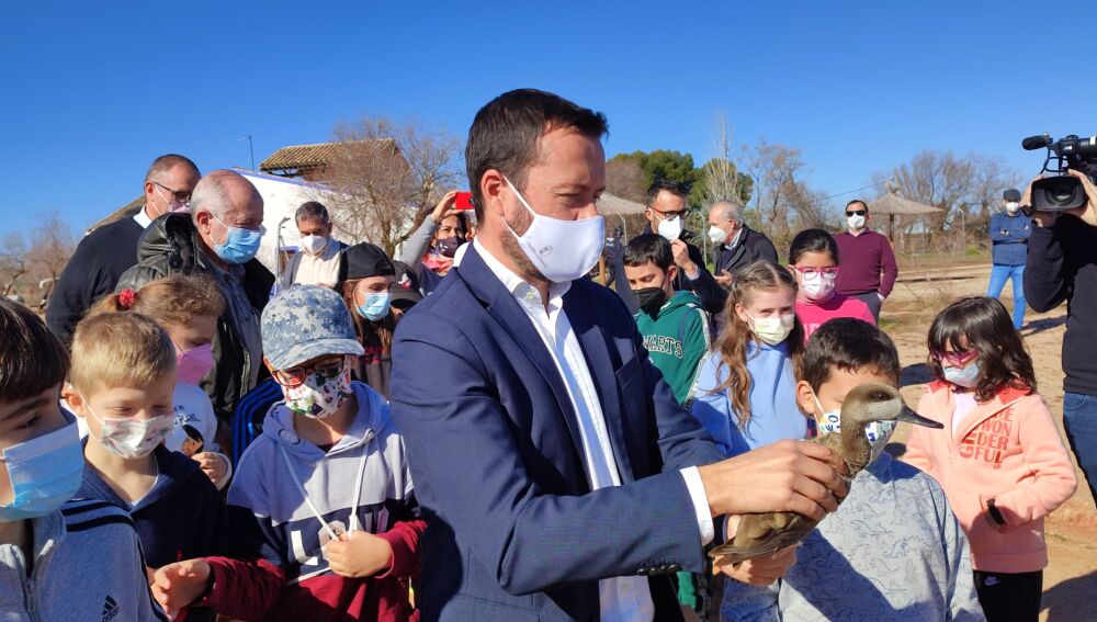 Consejero liberando cerceta pardilla