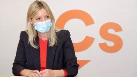 Ana Mart&iacute;nez Vidal, diputada de Cs