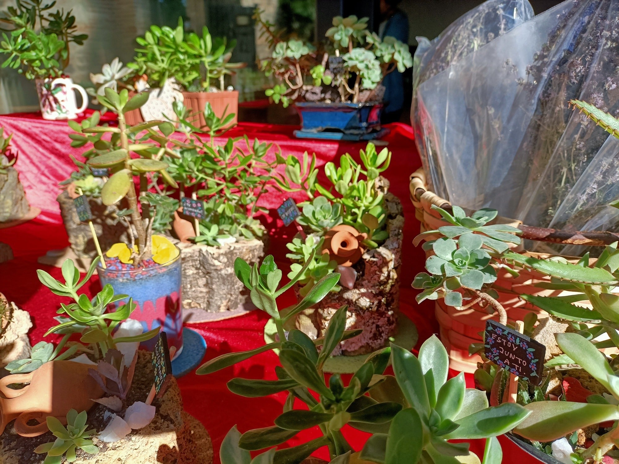 El Mercado de las Flores vuelve al jardín de San Lucas de Toledo este sábado con nueve expositores El Mercado de las Flores vuelve al jardín de San Lucas de Toledo este sábado con nueve expositores