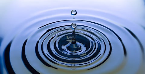 El presidente de la CH Miño Sil acusa a la Xunta de extender "tinta de calamar" El presidente de la CH Miño Sil acusa a la Xunta de extender "tinta de calamar"