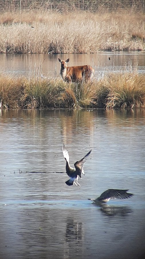 Más de Uno Álava 02/02/2022 Más de Uno Álava 02/02/2022